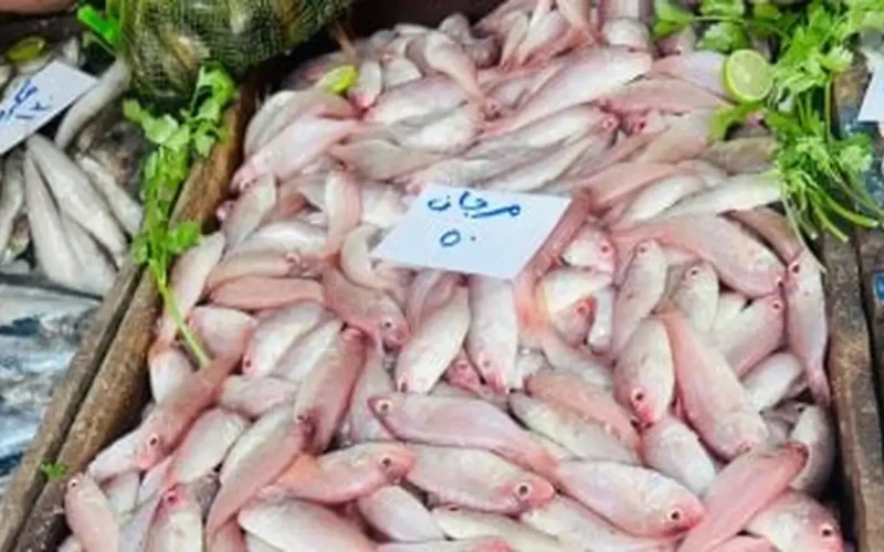 تحديث الأسعار اليوم الجمعة 50 جنيهًا سعر المرجان في كفر الشيخ